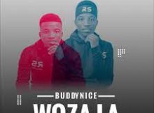 Buddynice - Woza La Mp3 Download Fakaza