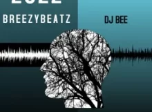 Dj Bee Amapiano 2022 Songs & Album