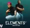 Assertive Fam – Elements LP