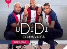 UDidi olumashoba Ayihlehli Album Zip