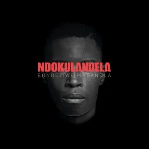 Bongeziwe Mabandla – Ndokulandela