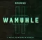 Boohle – Wamuhle Nangamso Puwani