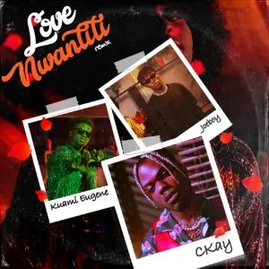 CKay – Love Nwantiti Remix