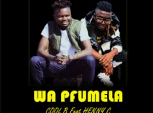 Cool B – Wa pfumela ft HENNY C