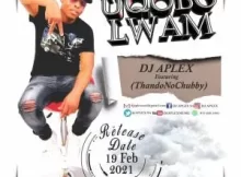 DJ APLEX SA – Uqobo Lam ft ThandoNoChubby