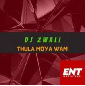 DJ Zwali – Thula Moya Wam (Gospel Gqom)