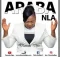 Damola Dipo – Araba Nla