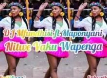 Dj Mfundisi ft. Maponyani – Nitwe Vaku Wapenga