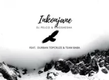 Dj Pleco & Kingshesha – Inkonjane (feat. Durban TopCruze & TeamBaba)