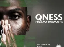 Dj Qness – Fugama Unamathe