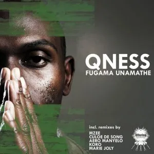 Dj Qness – Fugama Unamathe