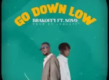 Go Down Low House Song Download