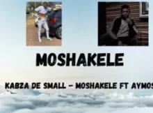 Kabza De Small – Moshakele Amapiano