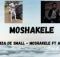 Kabza De Small – Moshakele Amapiano