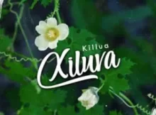 Killua – Xiluva