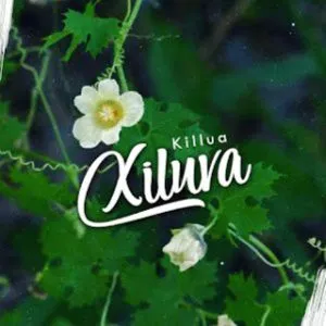 Killua – Xiluva