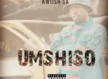 Kwiish SA – LiYoshona Ft. Njelic, Malumnator & De Mthuda