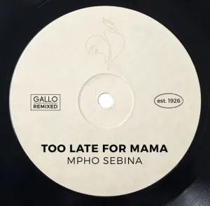 Mpho Sebina – Too Late for Mama