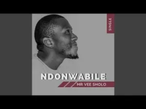 Mr Vee Sholo Ndonwabile