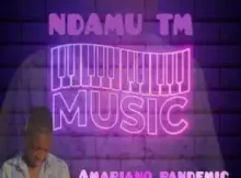 NDAMU TM, Orinea & Andy De Dj – This Is We Celebrate Amapiano