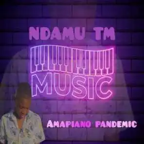 NDAMU TM, Orinea & Andy De Dj – This Is We Celebrate Amapiano