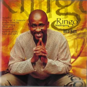 Ringo Madlingozi – Kwanele