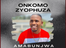 Amabunjwa – Zidedele