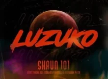 Shaun101 Luzuko