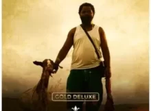 Sjava – Umsebenzi (Gold Deluxe Album)