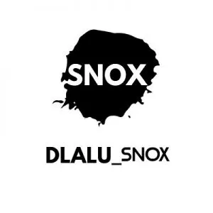 Snox – 1st Attempt