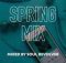 Soul Revolver – Spring Mix Amapiano