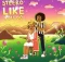 Steero – Like You Do