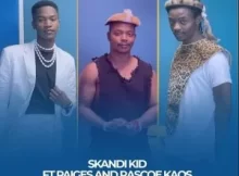 Skandi Kid Ft Paiges & Rascoe Kaos – Type Yam