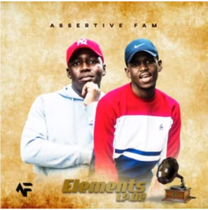 Assertive Fam – Khanimeni