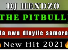 DJ HENDZO (THE PITBULL) Va nwu dlayile Samora (New Hit 2023)