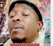 DJ Nomza The King - Anga Nilavi Amapiano (feat. Tebza De DJ)