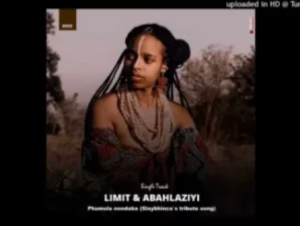 Limit & Abahlaziyi – Phumula Nondaba (Slaybhinca’s Tribute Song)