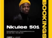 Nkulee 501 – Fountain & Hills (Dub Mix)