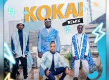 Nutty O & Poptain ft. Anita Jaxson – Kokai (Remix)