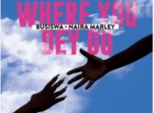 Busiswa – Where You Dey Go Amapiano