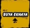 DLS – Buya ekhaya Ft. Nkululeko Nzo