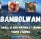 Kabza De Small & Soa Matrixx – Bambolwam ft Young Stunna