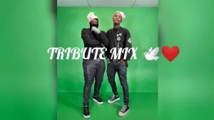 Lindani Alex – Amapiano Tribute Mix Ft Mpura Mpura & Killer Kau