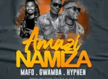 Mafo – Amazinamiza