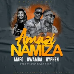 Mafo – Amazinamiza