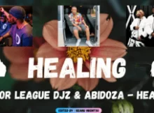 Major League Djz & Abidoza – Healing