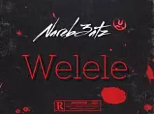 Nareb3atz – Welele