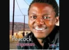  Mp3 Download Fakaza Who is the singer? Biography & Age A song writer, singer and entertainer. Song Title Net Worth Unknown New Music Year Of Release 2023 Song Download Format Mp3, Zip, Mp4 & Lyrics  Mp3 is the newest song from the South African singer whose name is Unknown. The song lyrics of  '' will be shared soon, please check back as we are drafting the full song lyrics. Also, the album or mixtape zip where the song was copped out from will also be updated in due time, please well to check back as we will update soon. The singer is a reputable South African artist who has been sharing new songs for many years now. On the song, the artiste featured "no other singer", though people like the singer is good at calling in the assistance of a featured singers. The artist will also be expected to share more songs, albums, mixtapes, zip files or videos file, and note that we will always share all the song lyrics when we have them. You can also learn about the SA entertainer, who is"" real name, age, salary & worth? On HipHopAfrika, you will also find other Fakaza mp3 download songs for free, visit our songs download page for more interested music you can download. Download free "" mp3 fakaza on HipHopAfrika, and also other interesting album zip, mixtape, mix, videos, lyrics for free. Stay connected for other interesting South African music, biography, news updates etc. and use the comment box below to share your thoughts with us.  Free Mp3 Download