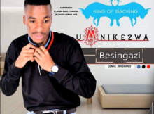 uMnikezwa – Besingazi Album