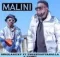 Sipho Eric Ndlovu – Malini ft. TxPMD & Tweestgottahalla